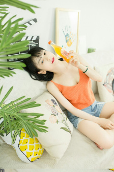 南龙北凤